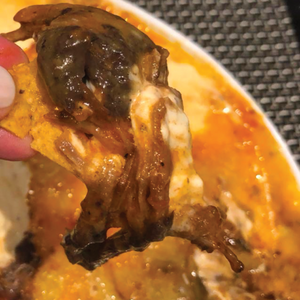 Dip de Ropa Vieja
